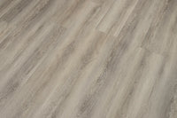 Bird Rock Ridge CALI Vinyl Windansea High Tide