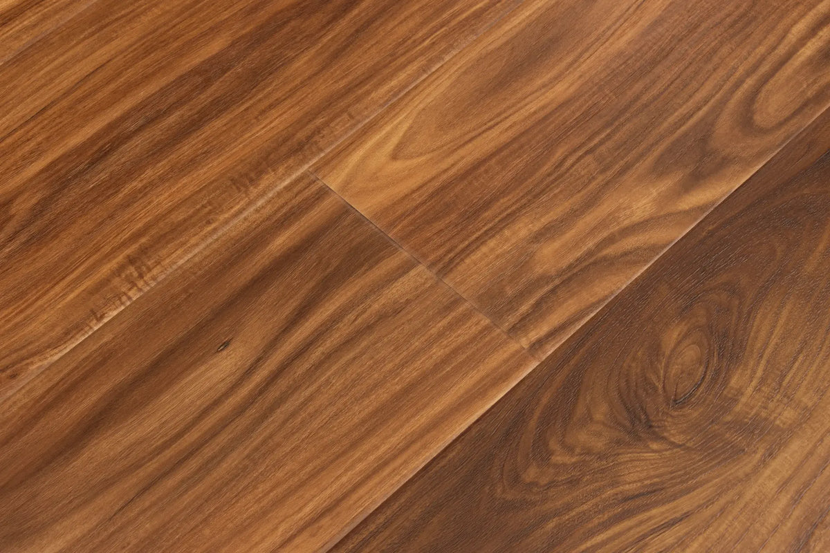 Classic Acacia CALI Vinyl Windansea High Tide