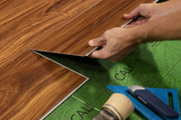Classic Acacia CALI Vinyl Windansea High Tide