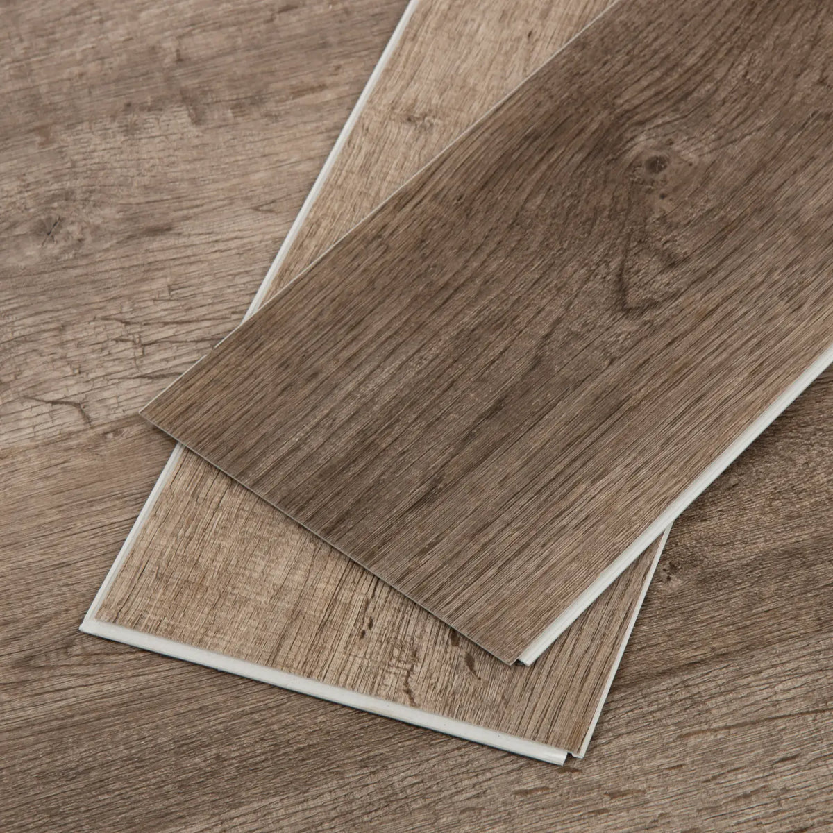 Thornwood Select Premium Collection