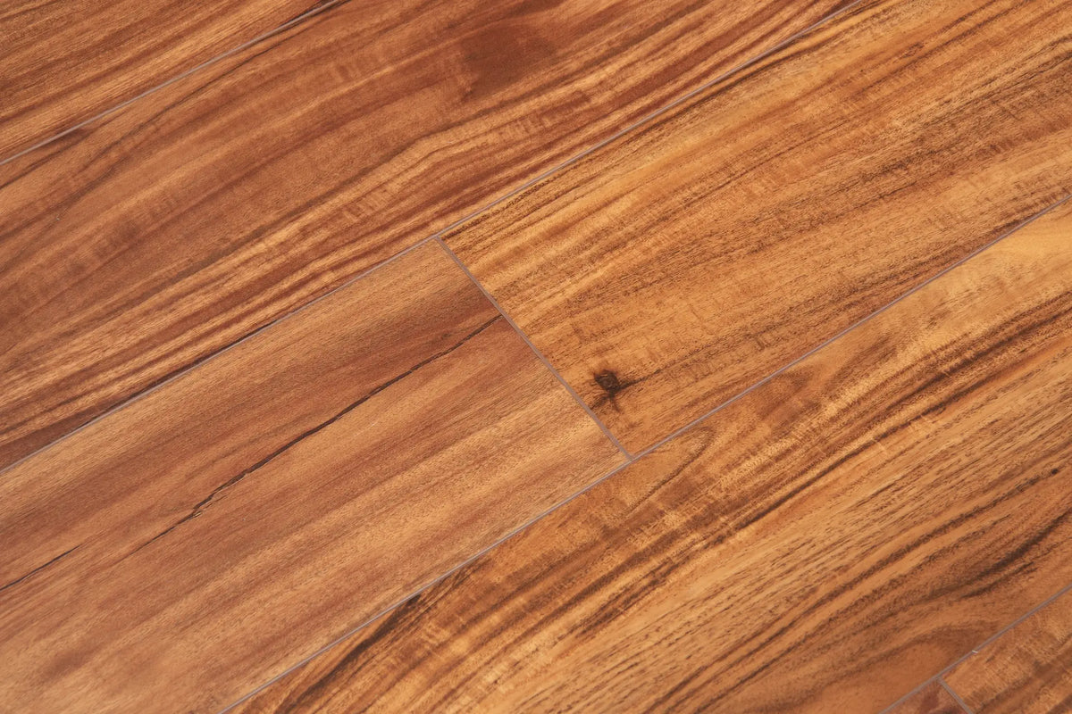 Classic Acacia CALI Vinyl Windansea