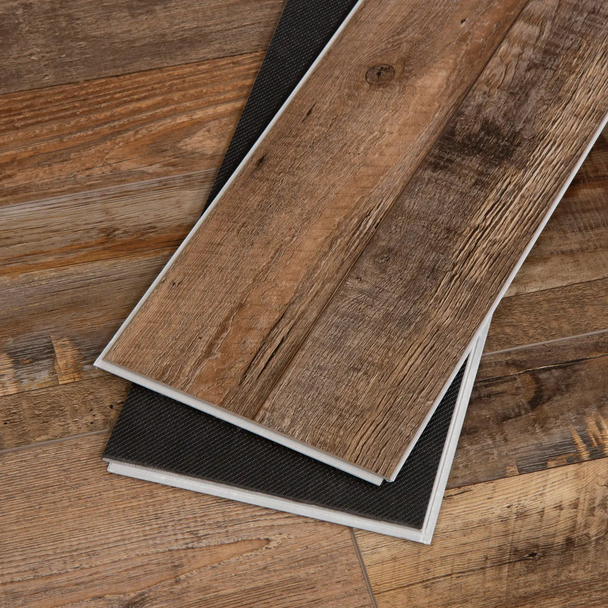 Redefined Pine CALI Vinyl Windansea