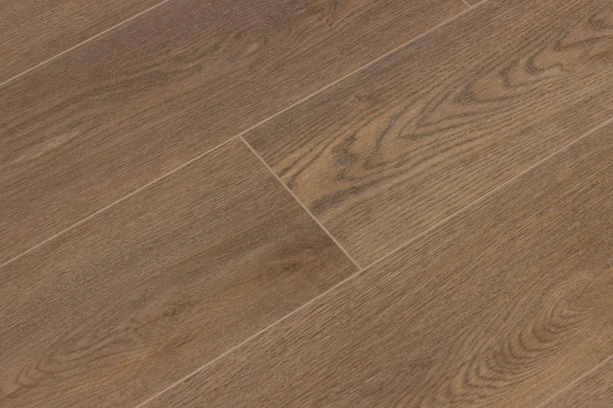 Sea Scallop Cali Vinyl Windansea