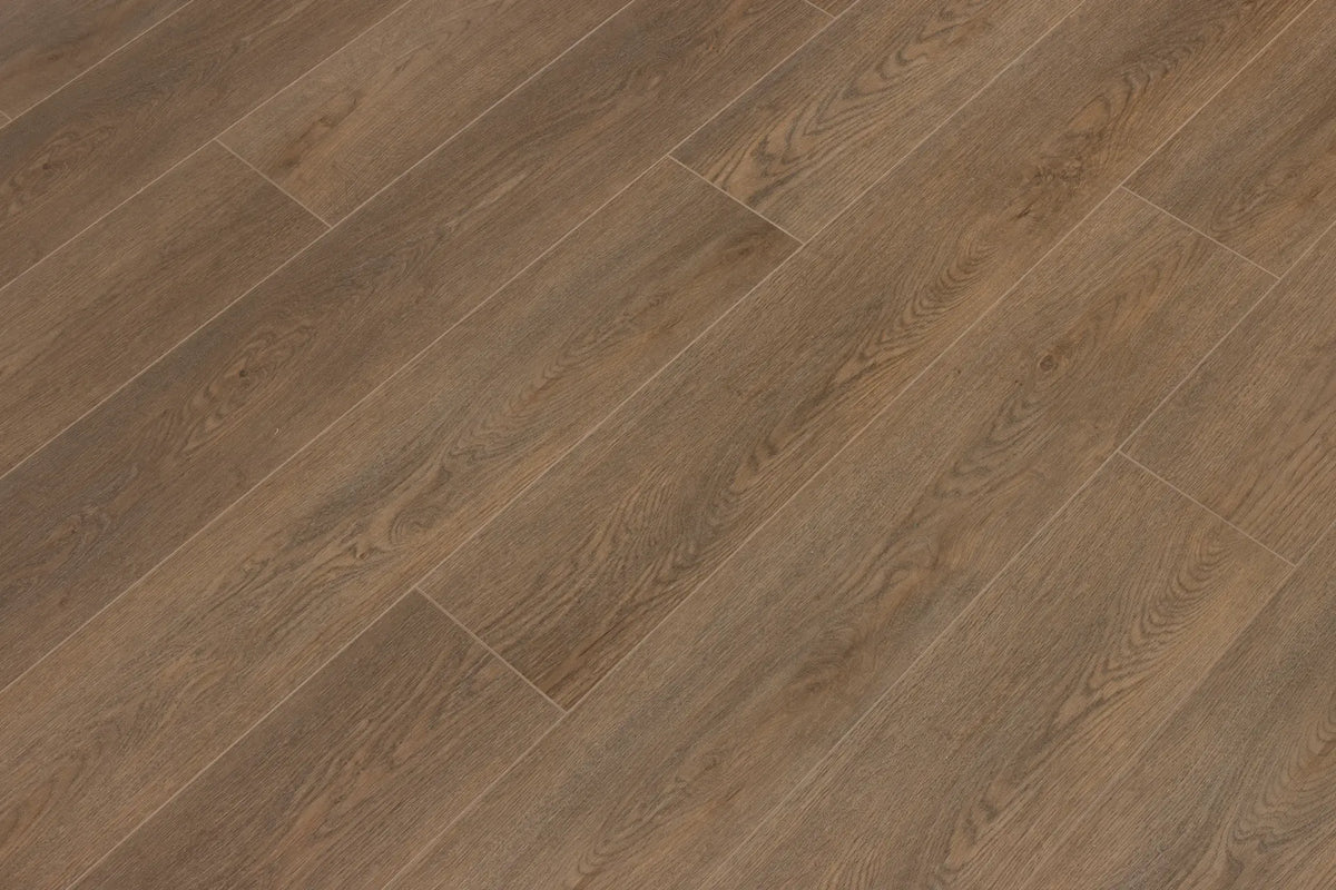 Sea Scallop Cali Vinyl Windansea