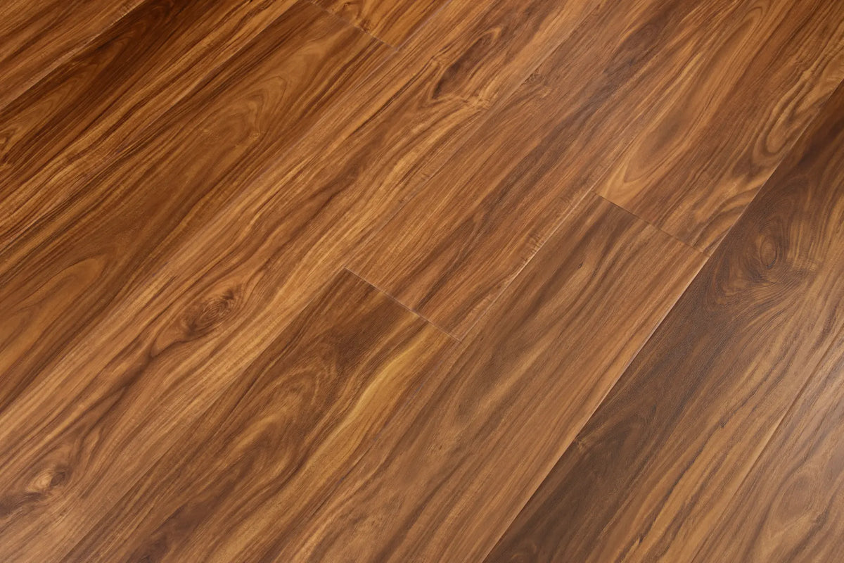 Classic Acacia CALI Vinyl Windansea High Tide